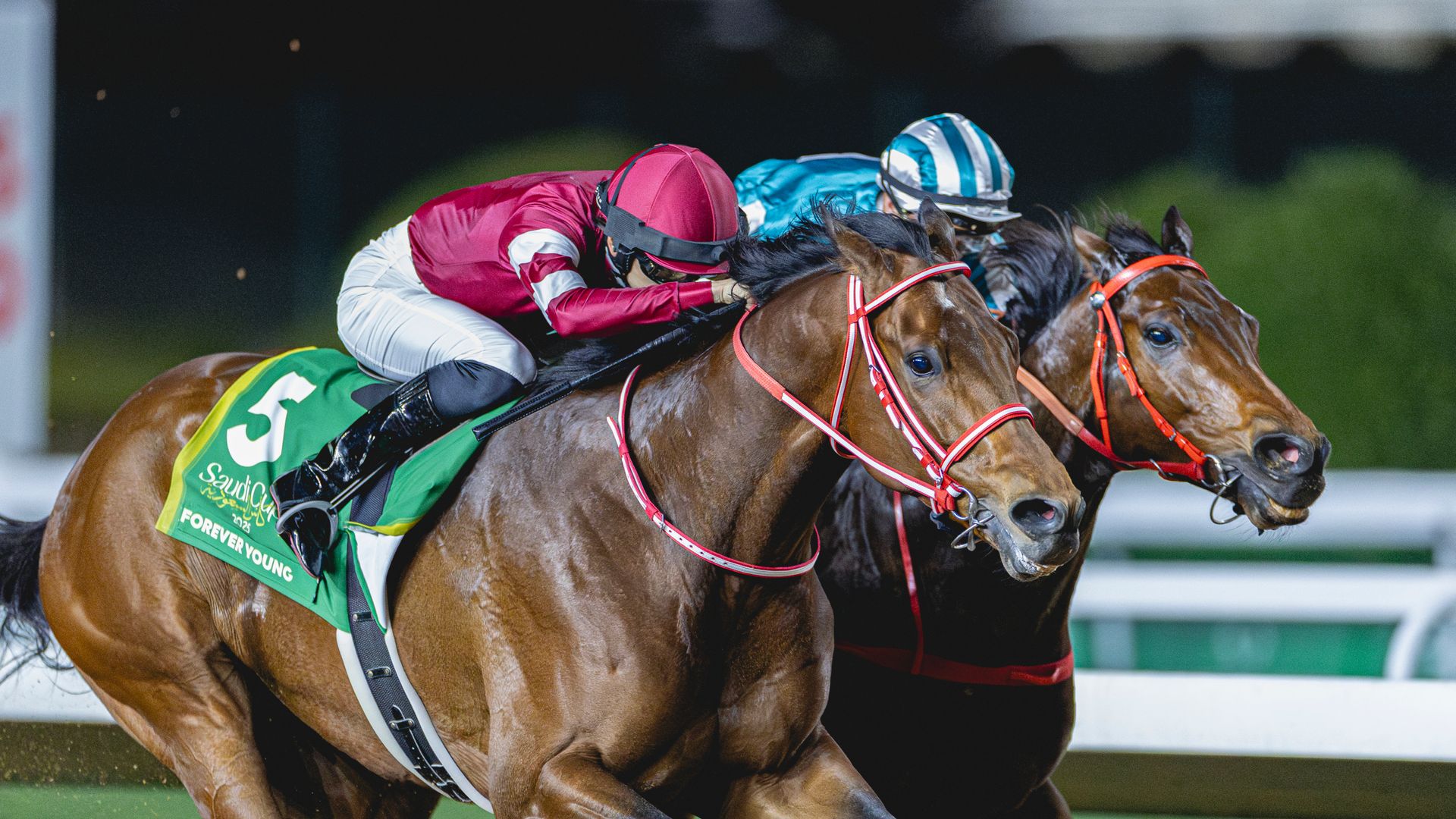 فوريفر يونغ: إنجاز تاريخي جديد في سباق السعودية